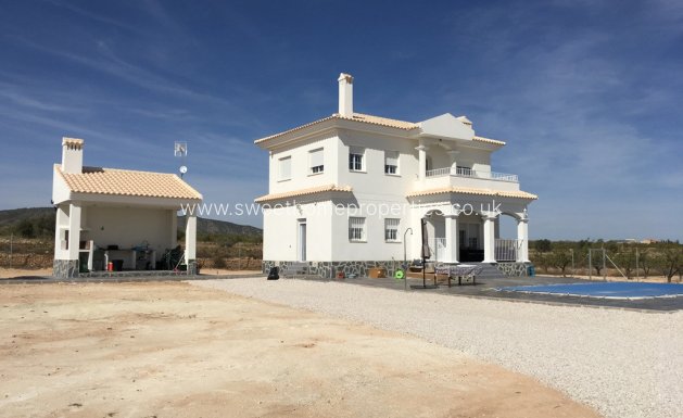 Casa de campo - Obra nueva - Pinoso -
                Pinoso