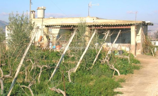 Casa de campo - Reventa - Aspe - Aspe