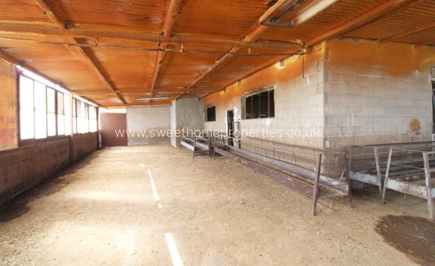 Casa de campo - Reventa - Aspe - Aspe