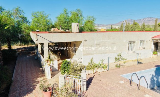 Casa de campo - Reventa - Crevillente -
                Crevillente