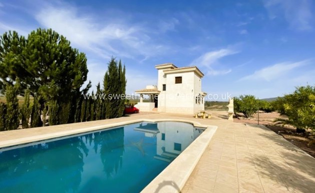 Casa de campo - Reventa - Pinoso - Pinoso