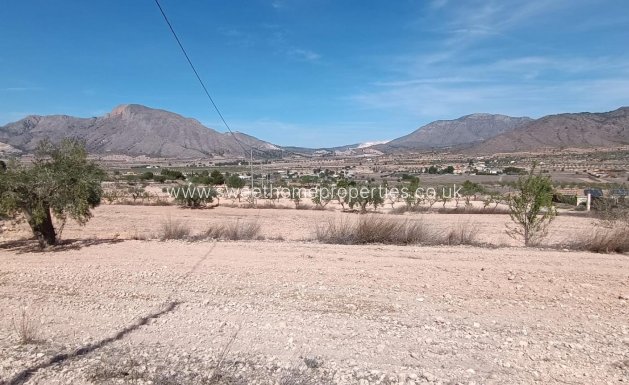 Cave house - Herverkoop - Orihuela -
                Torremendo