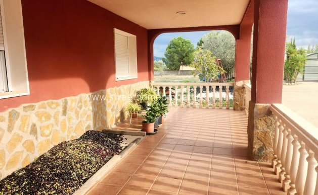 Chalet - Reventa - Sax -
                SAX - SALINAS