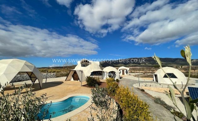 Country house - New Build - Pinoso -
                Pinoso