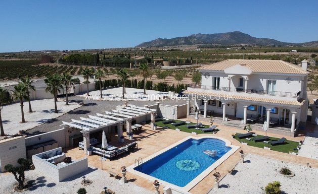 Country house - New Build - Pinoso - Pinoso