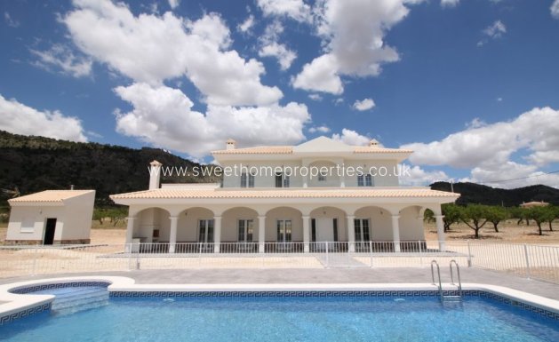 Country house - New Build - Pinoso -
                Pinoso