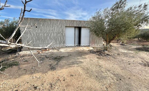 Country house - Resale - Aspe -
                El rabosero