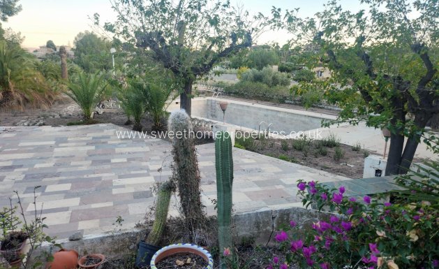 Country house - Resale - Novelda -
                CUCUCH