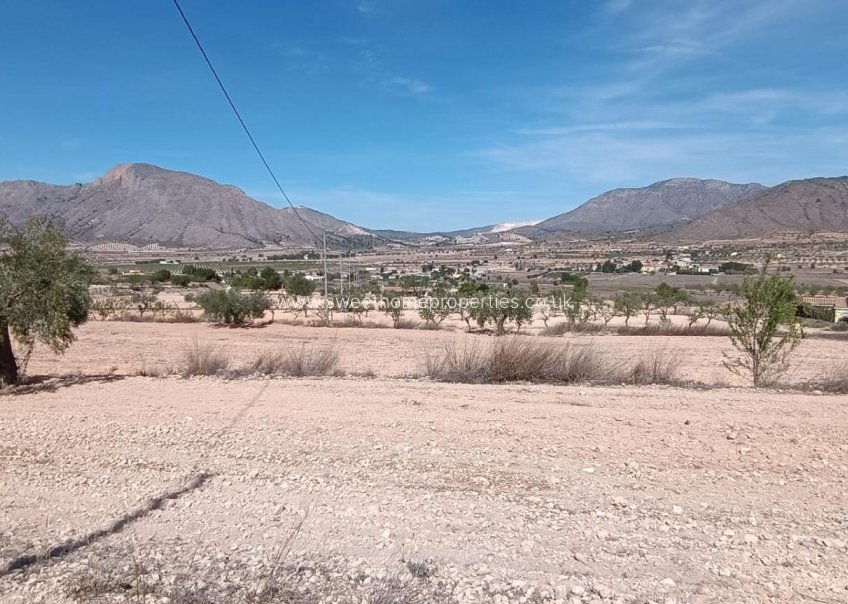 Herverkoop - Cave house - Orihuela - Torremendo