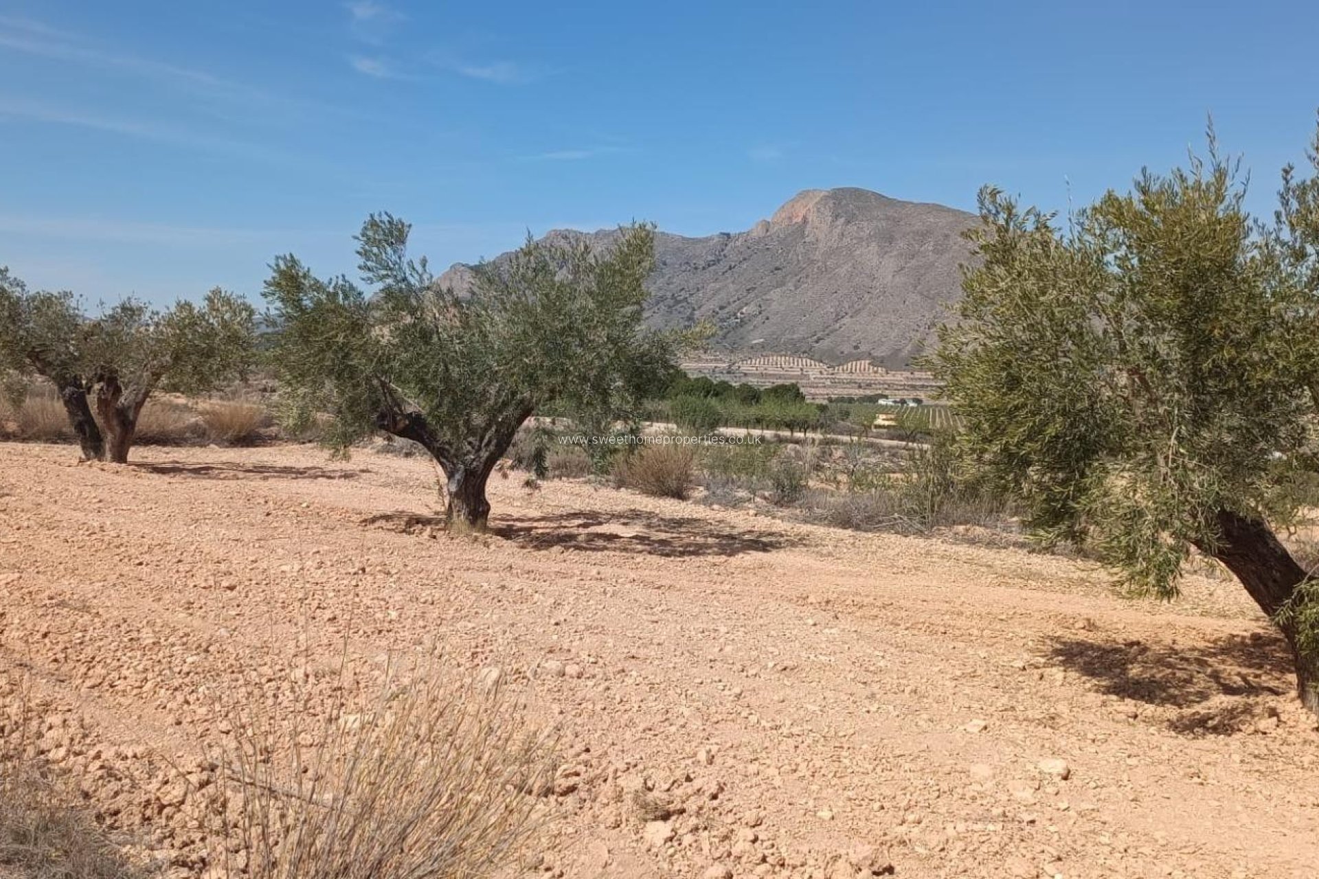 Herverkoop - Cave house - Orihuela - Torremendo