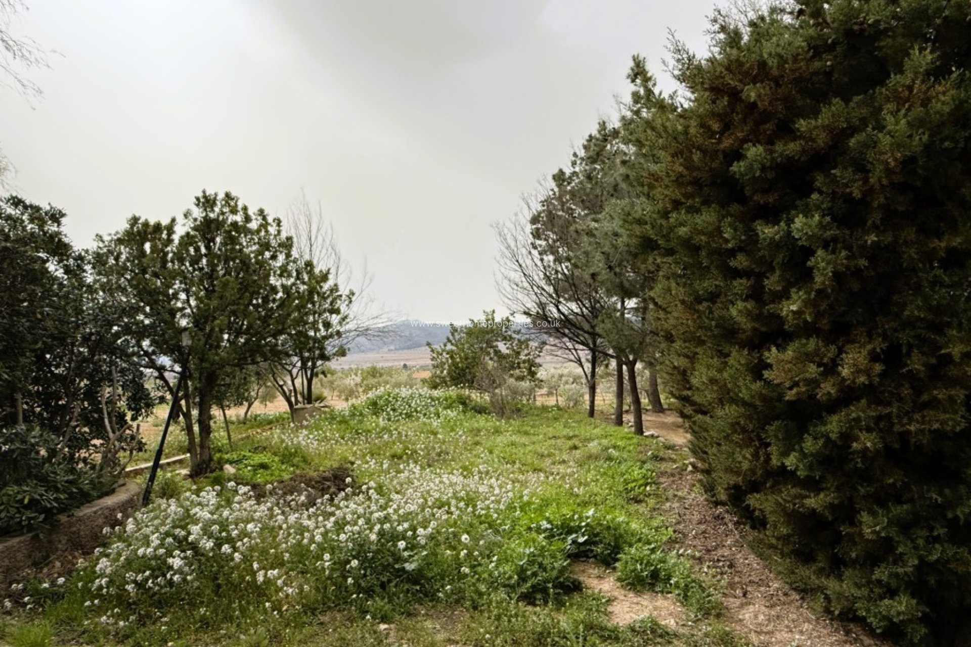 Herverkoop - Country house - Algueña - ALGEÑA