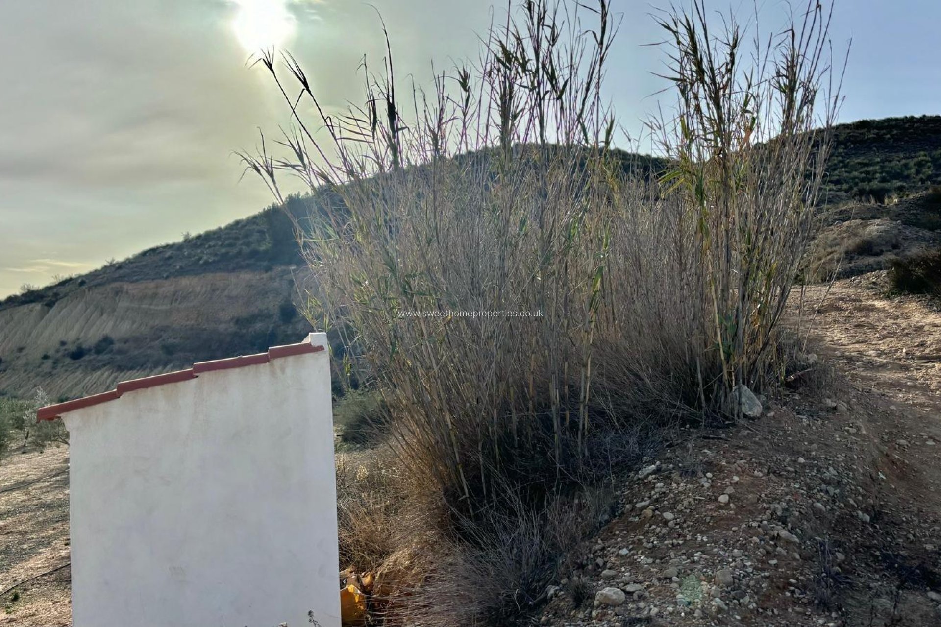 Herverkoop - Country house - Aspe - El rabosero