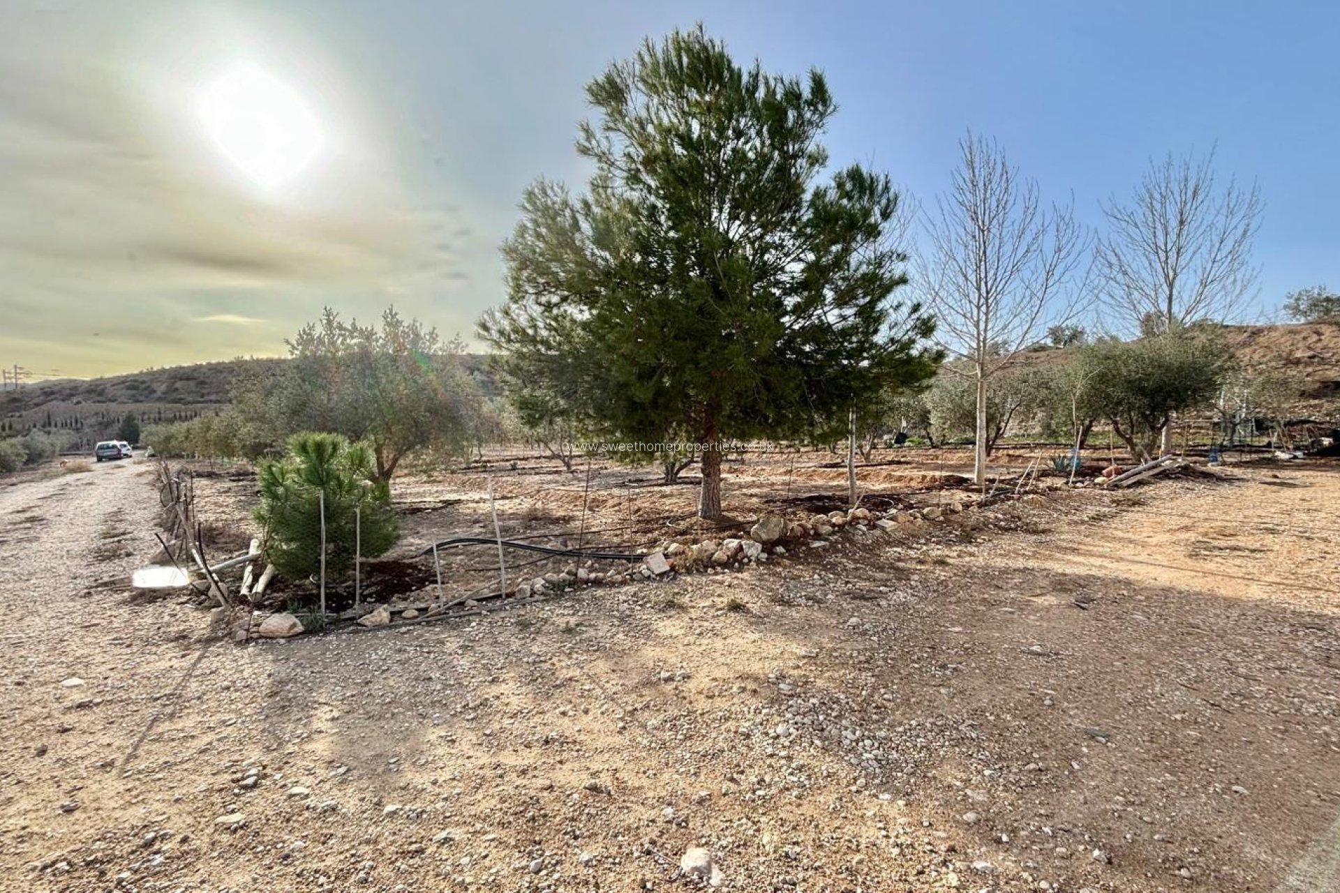 Herverkoop - Country house - Aspe - El rabosero