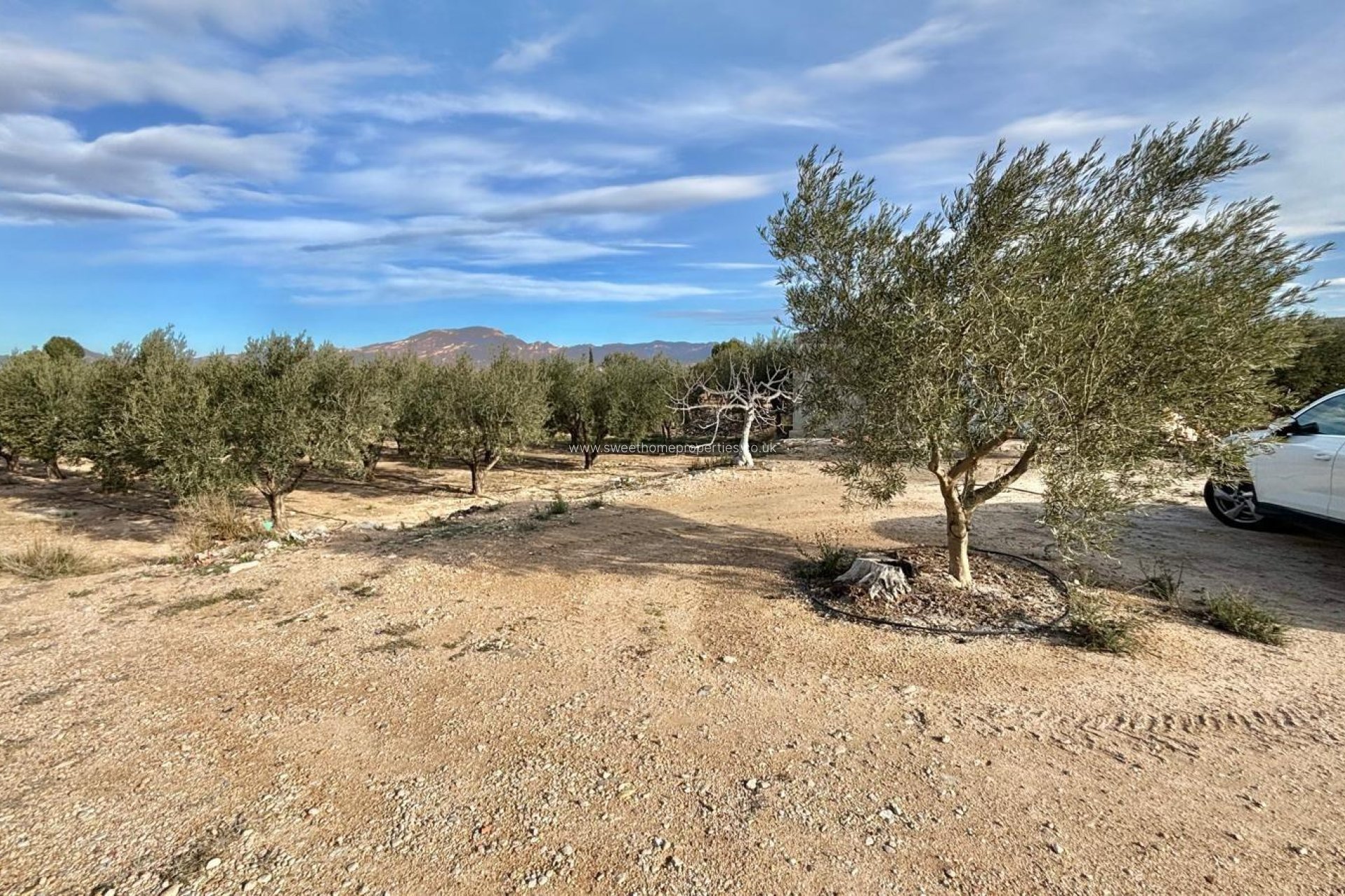 Herverkoop - Country house - Aspe - El rabosero