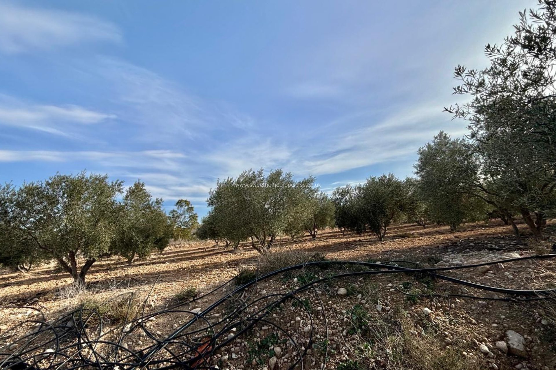 Herverkoop - Country house - Aspe - El rabosero