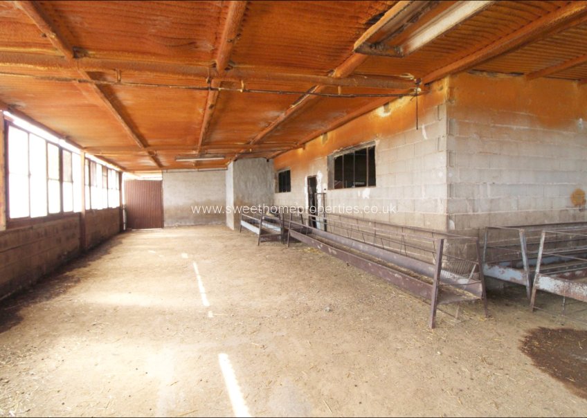 Herverkoop - Country house - Aspe - Huerta mayor