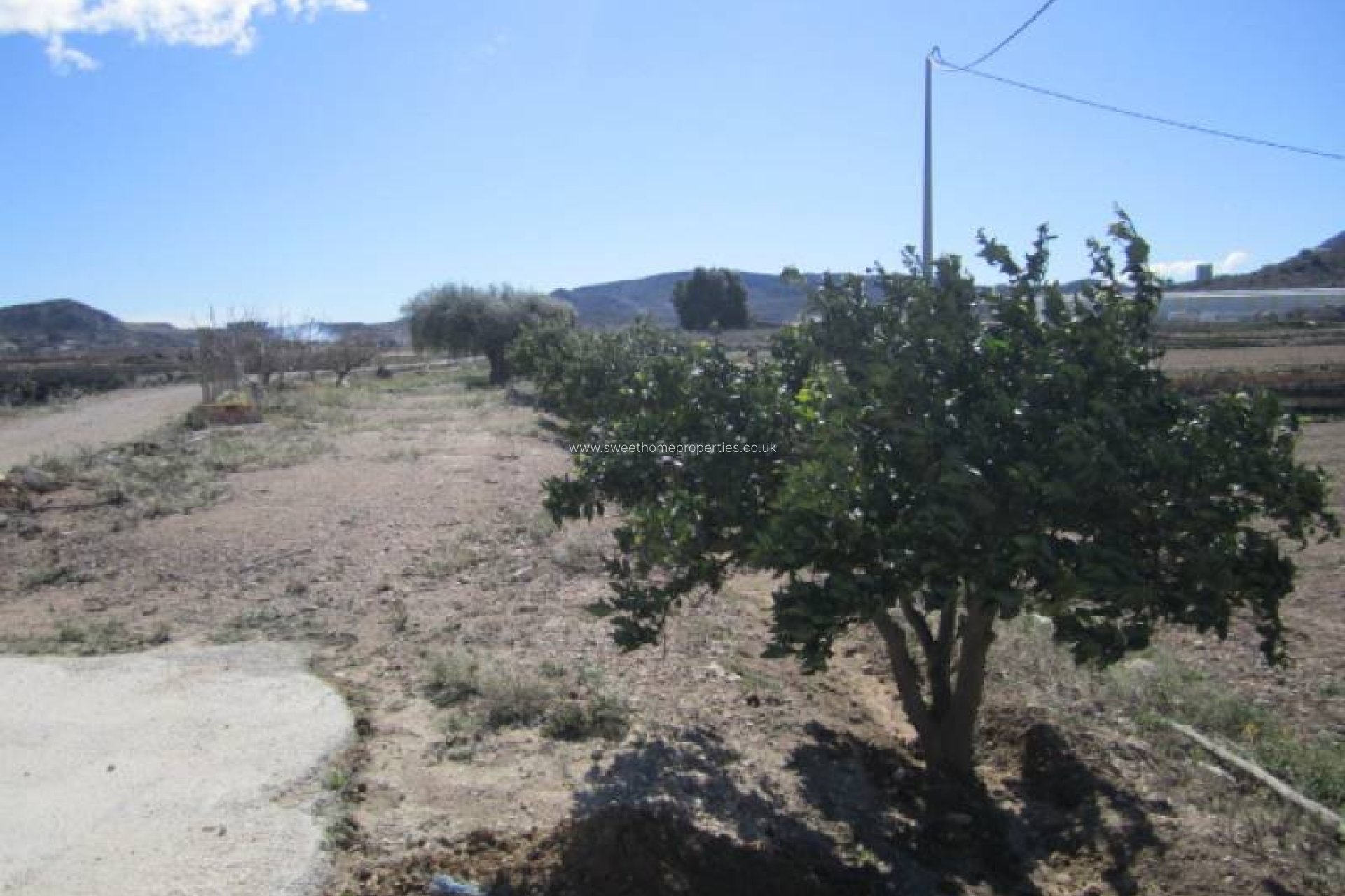 Herverkoop - Country house - Aspe - La ofra