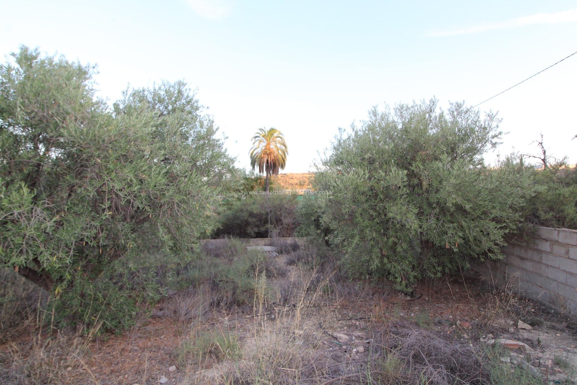 Herverkoop - Country house - Elche