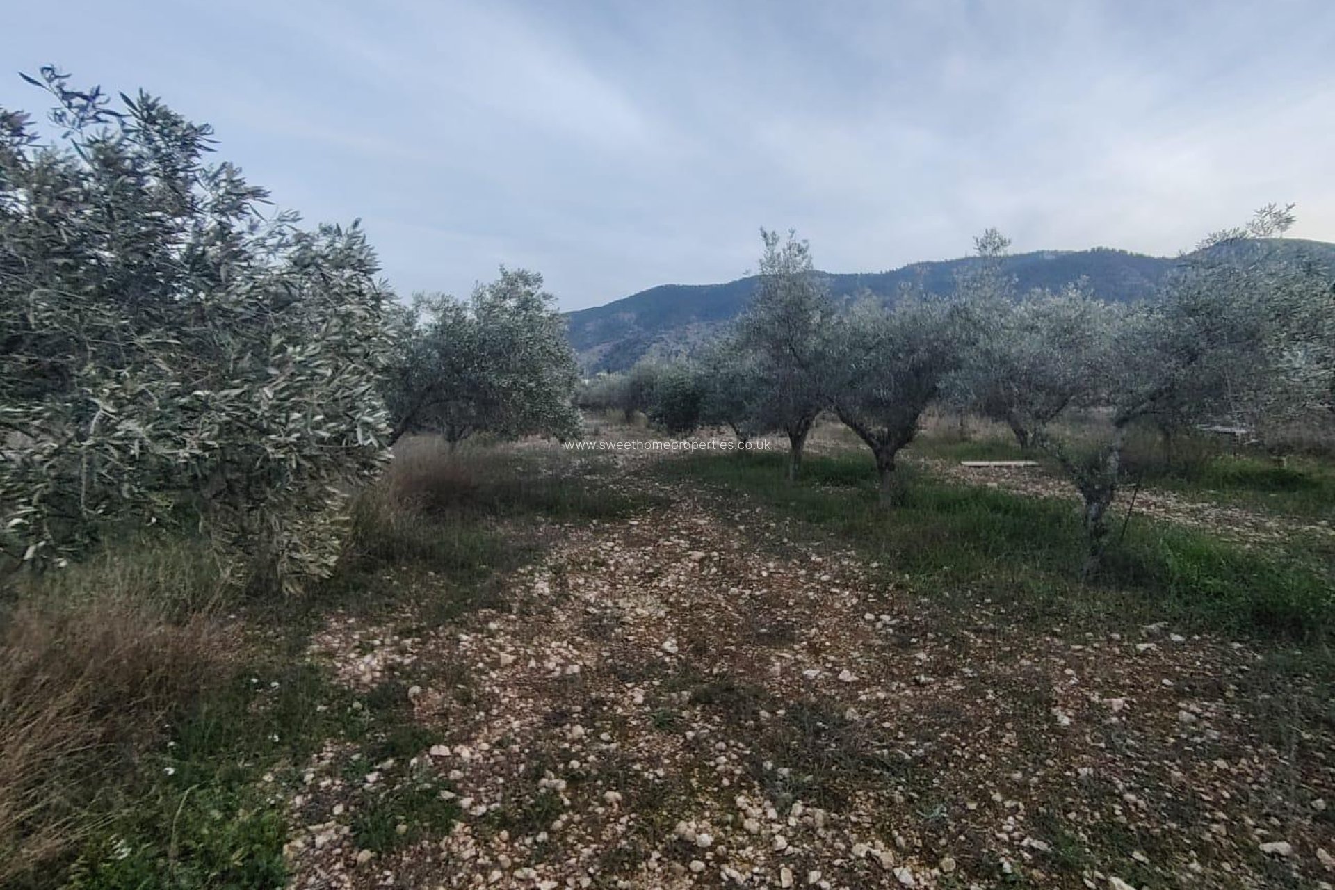 Herverkoop - Country house - Hondon De Las Nieves - BAYON