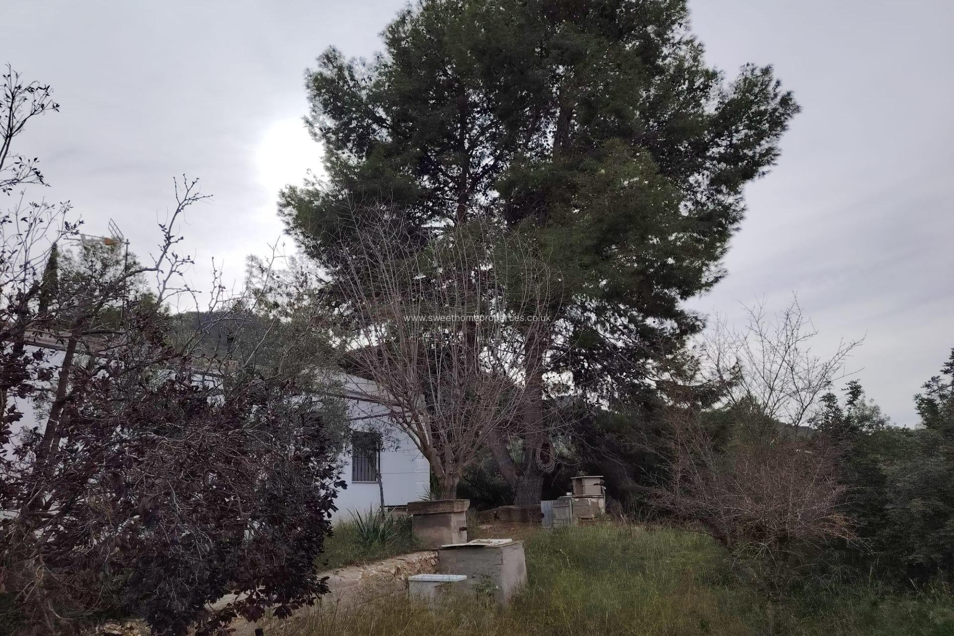 Herverkoop - Country house - Hondon De Las Nieves - BAYON