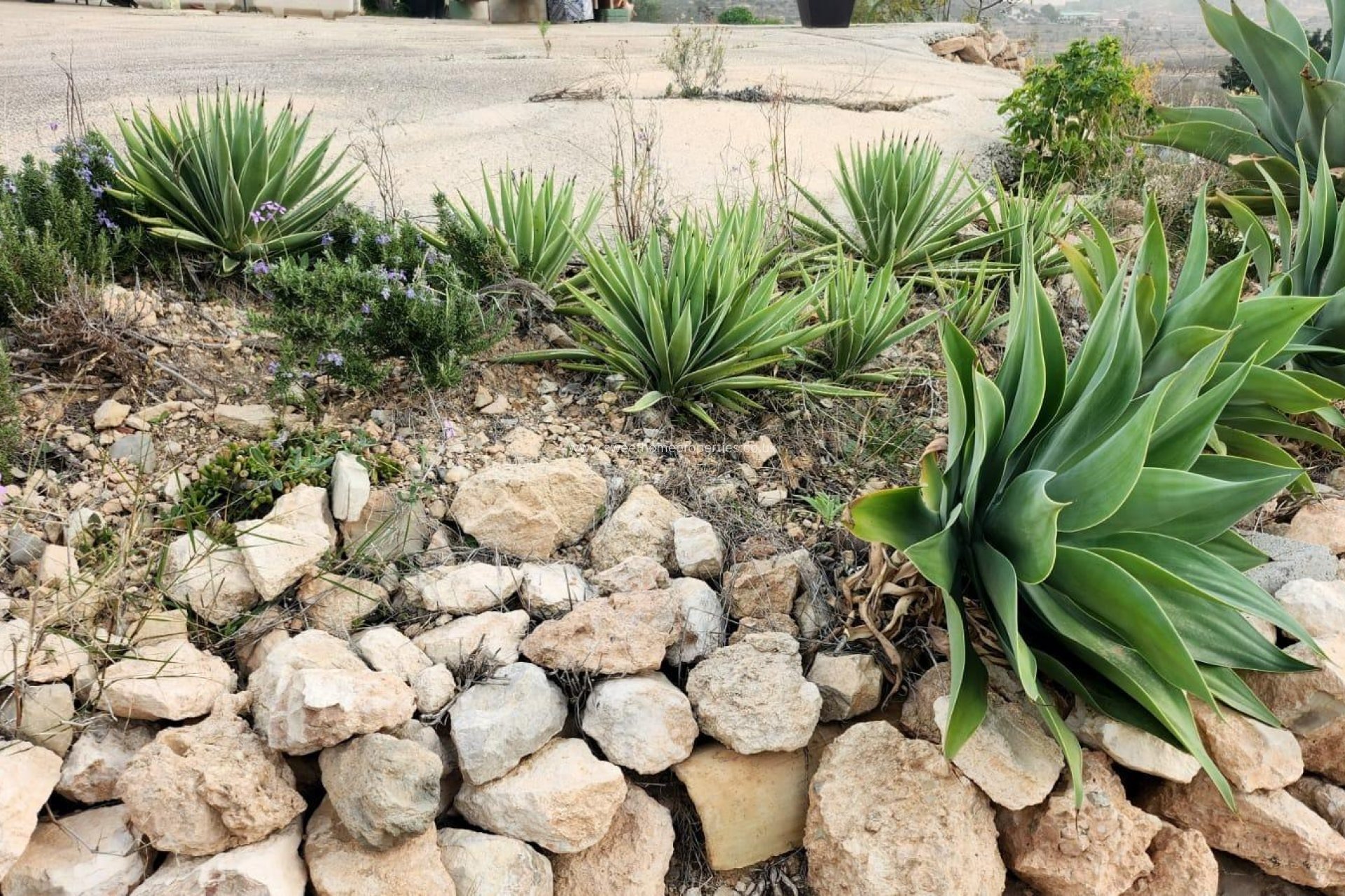 Herverkoop - Country house - Hondon De Las Nieves - EL RINCON