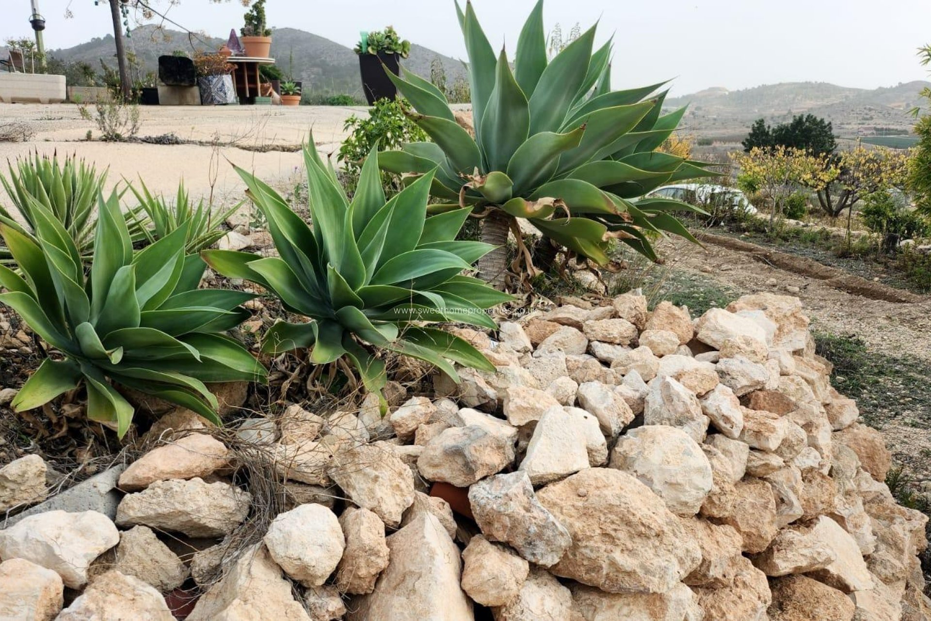 Herverkoop - Country house - Hondon De Las Nieves - EL RINCON