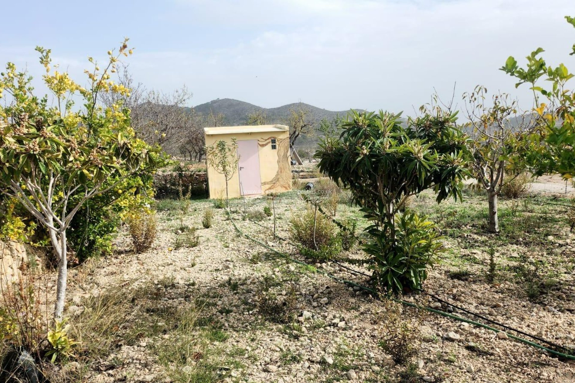 Herverkoop - Country house - Hondon De Las Nieves - EL RINCON