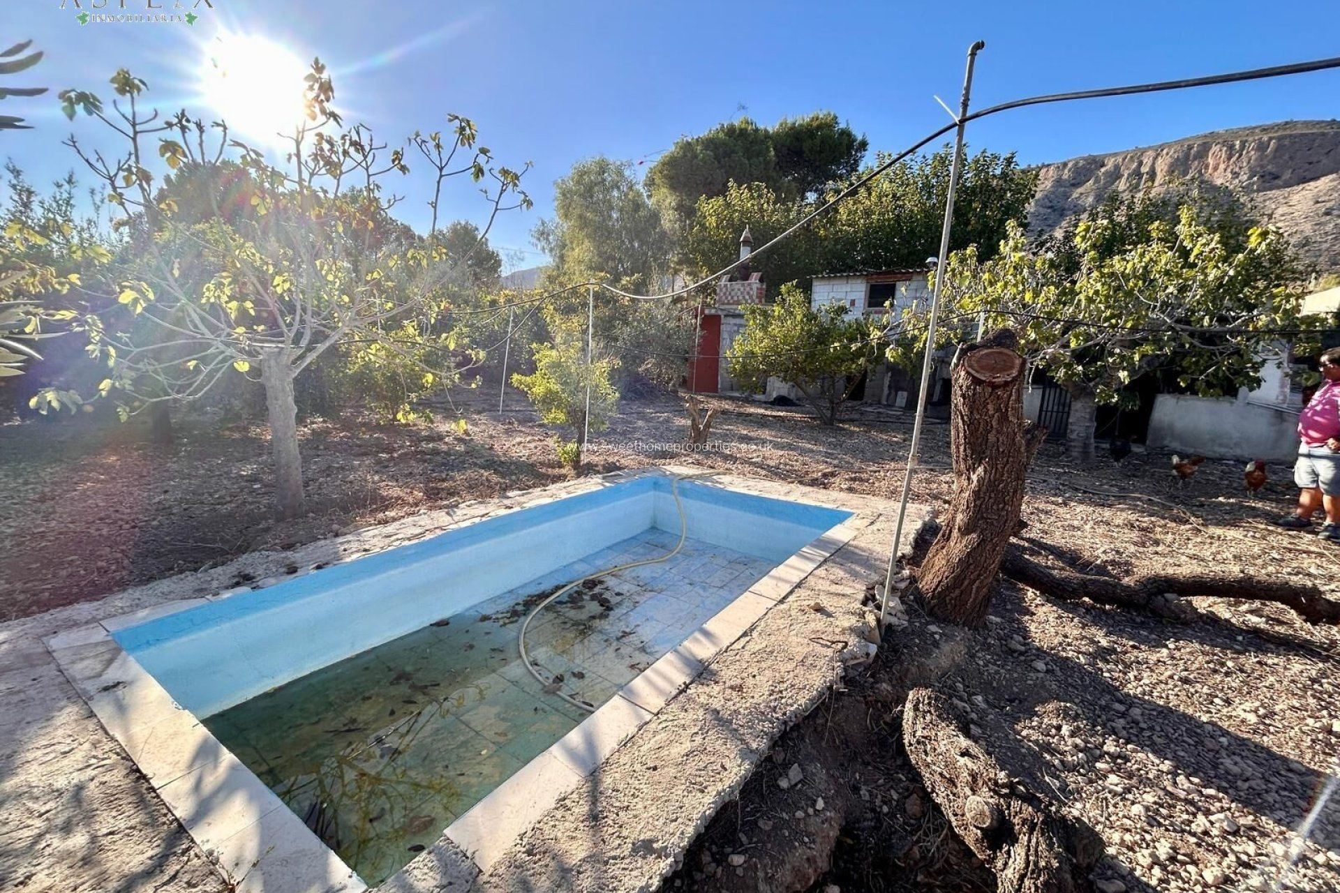 Herverkoop - Country house - Hondon De Las Nieves - SOLANA