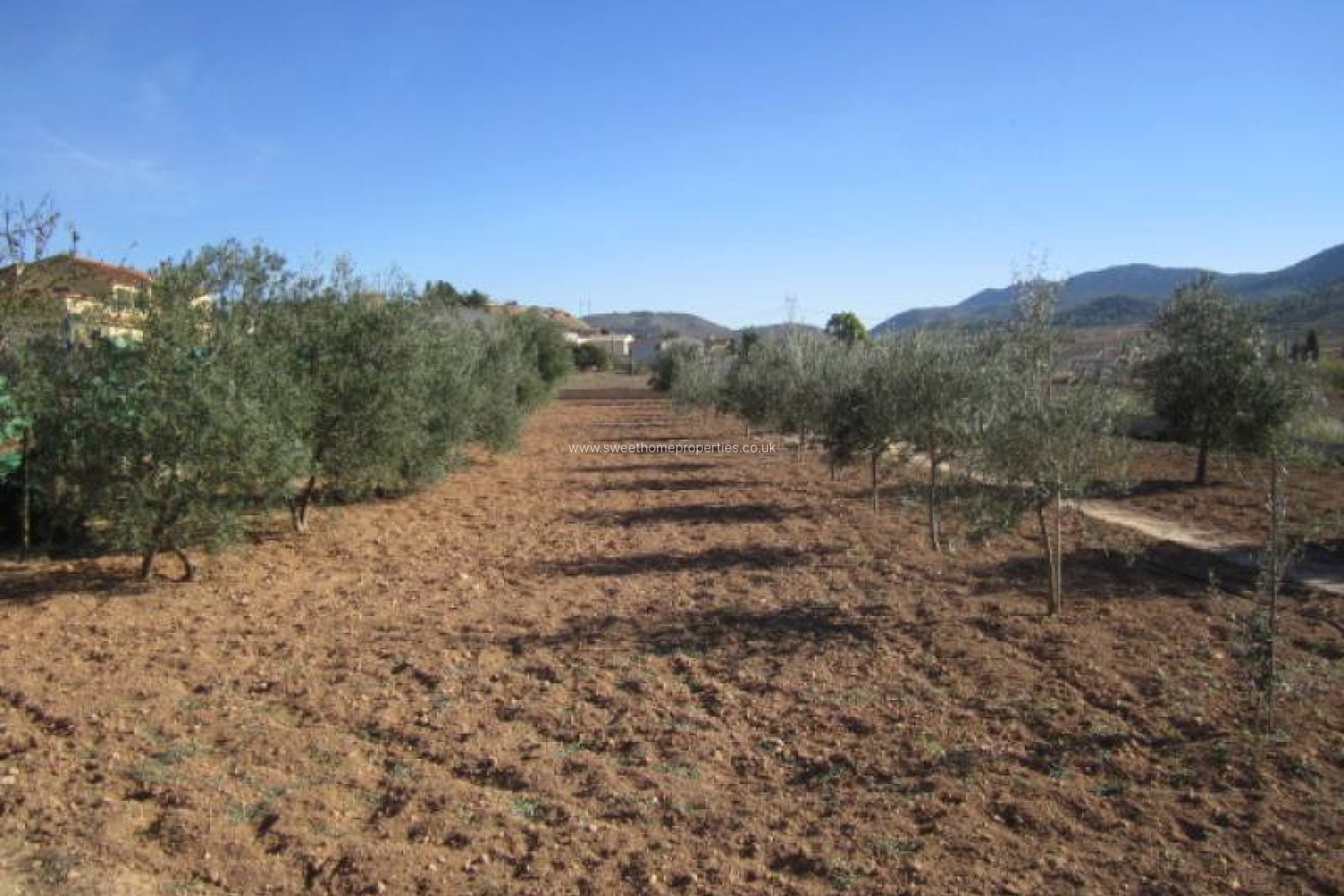 Herverkoop - Country house - Hondon De Los Frailes - CASAS DE GALIANA