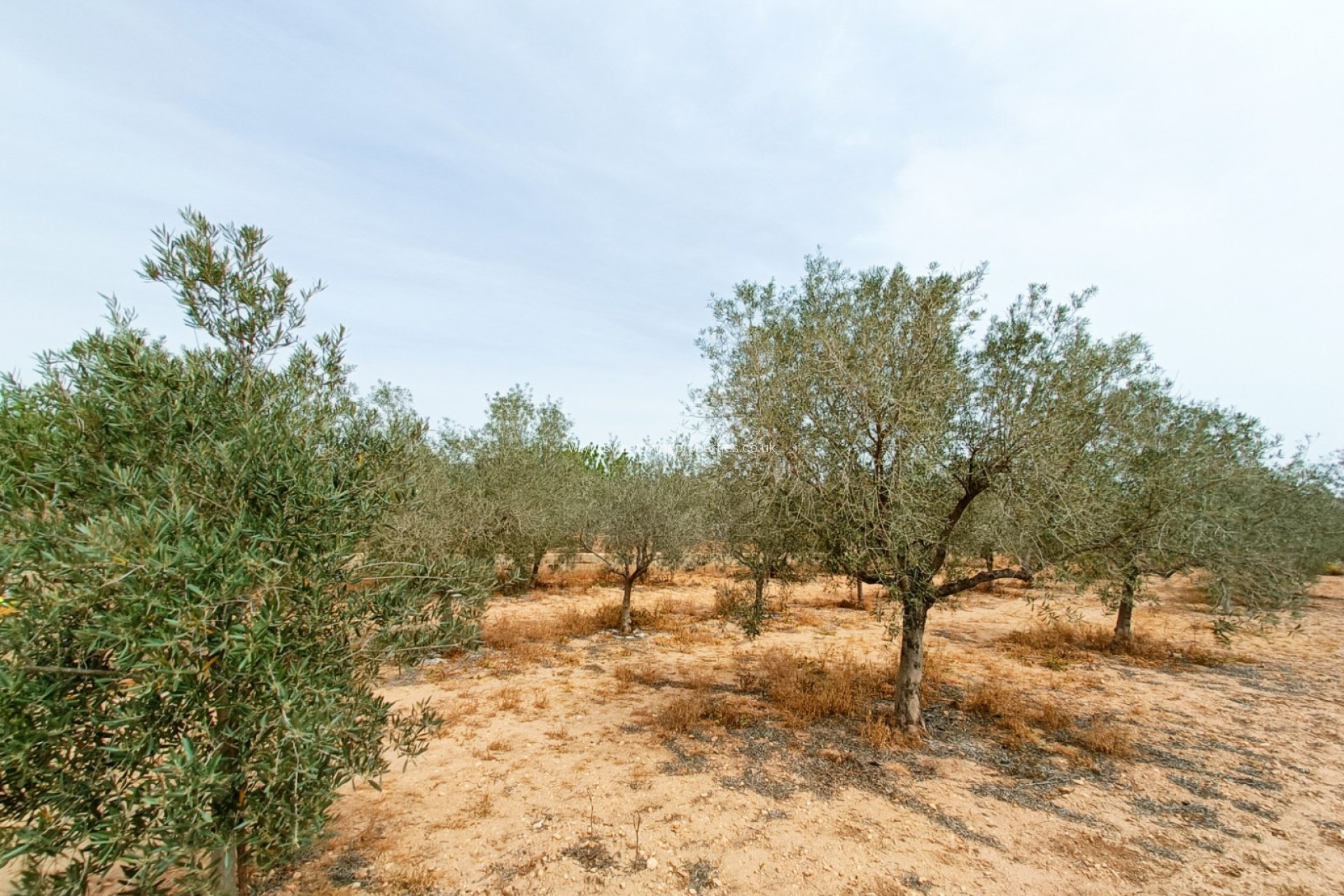 Herverkoop - Country house - Hondon De Los Frailes