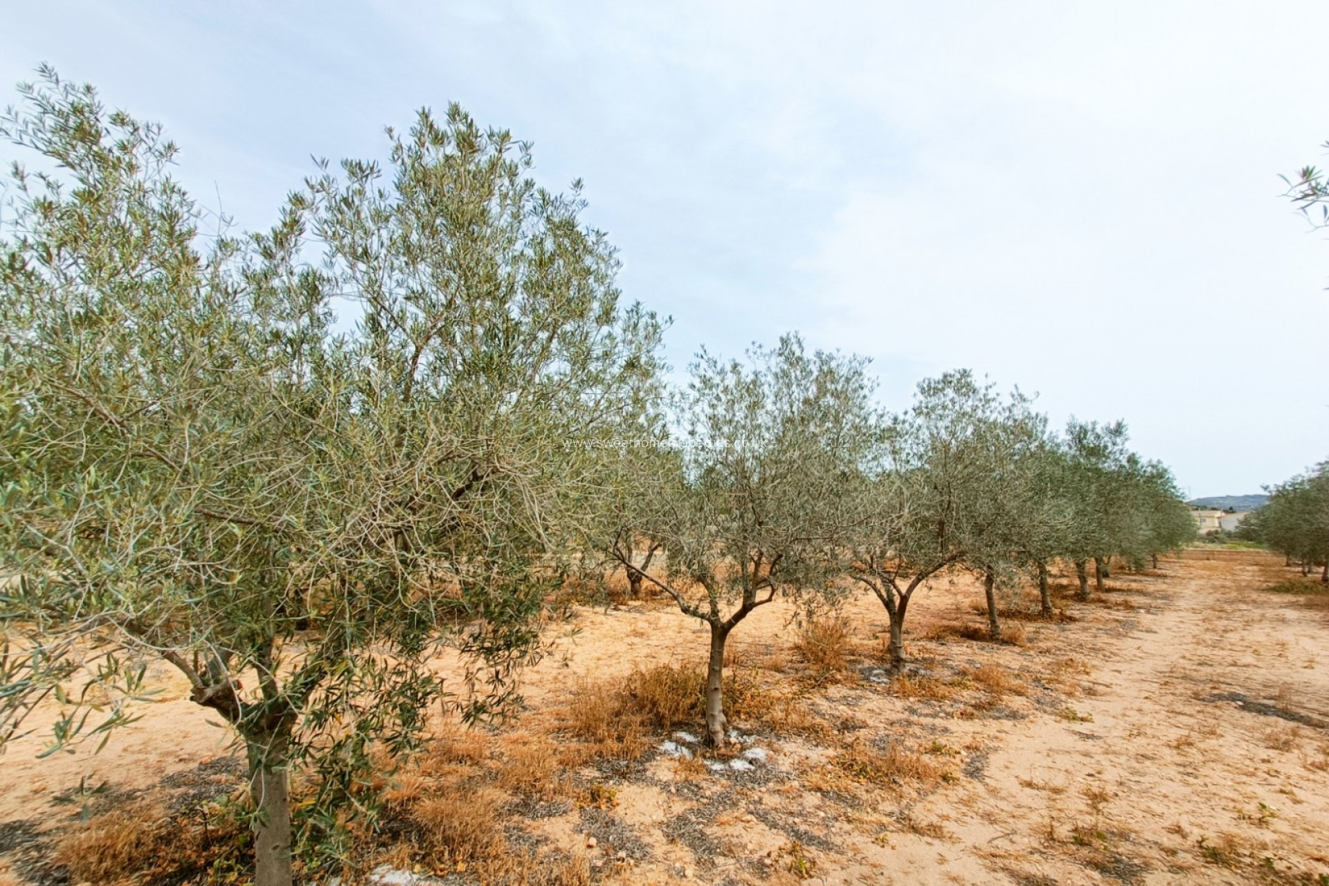 Herverkoop - Country house - Hondon De Los Frailes