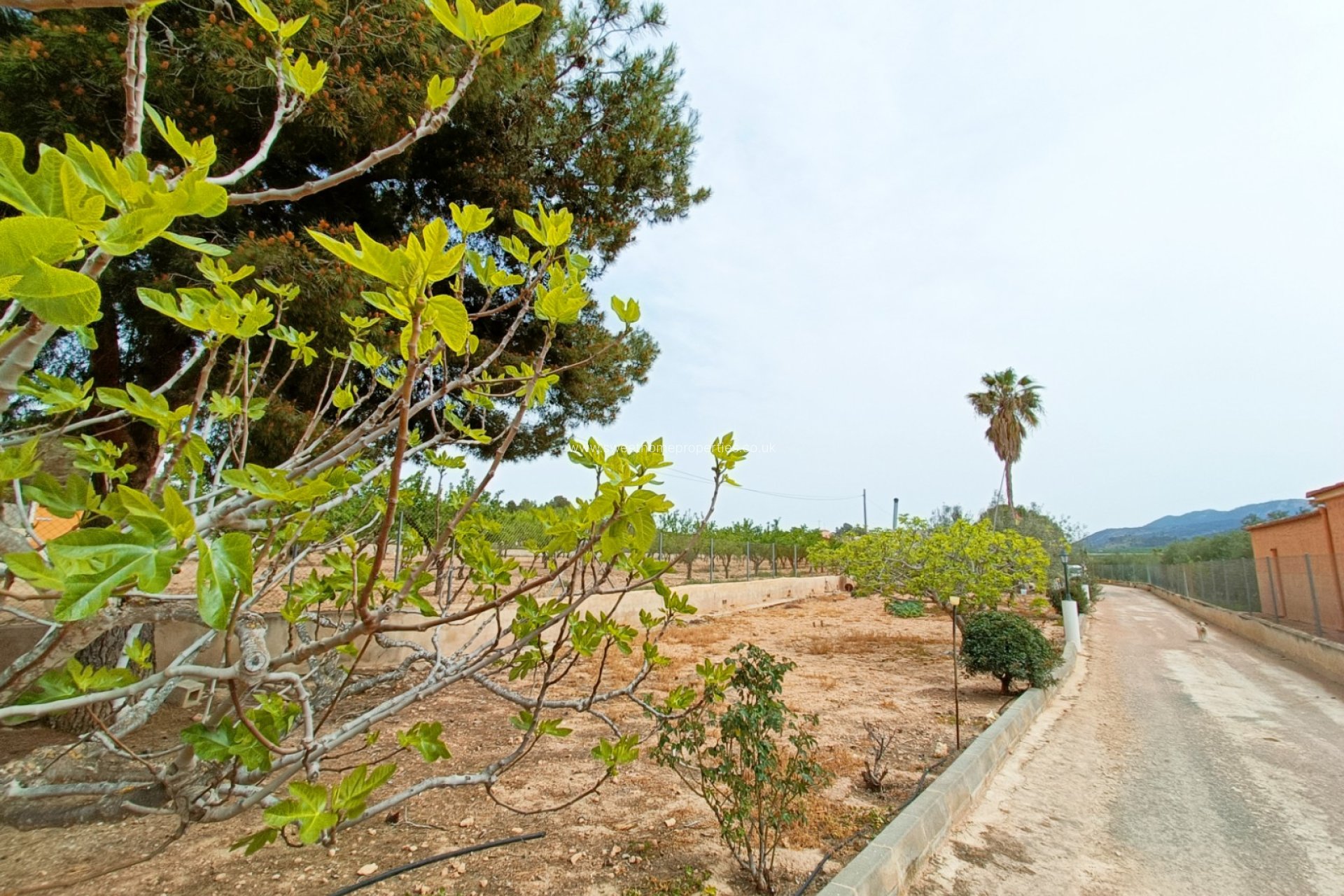 Herverkoop - Country house - Hondon De Los Frailes