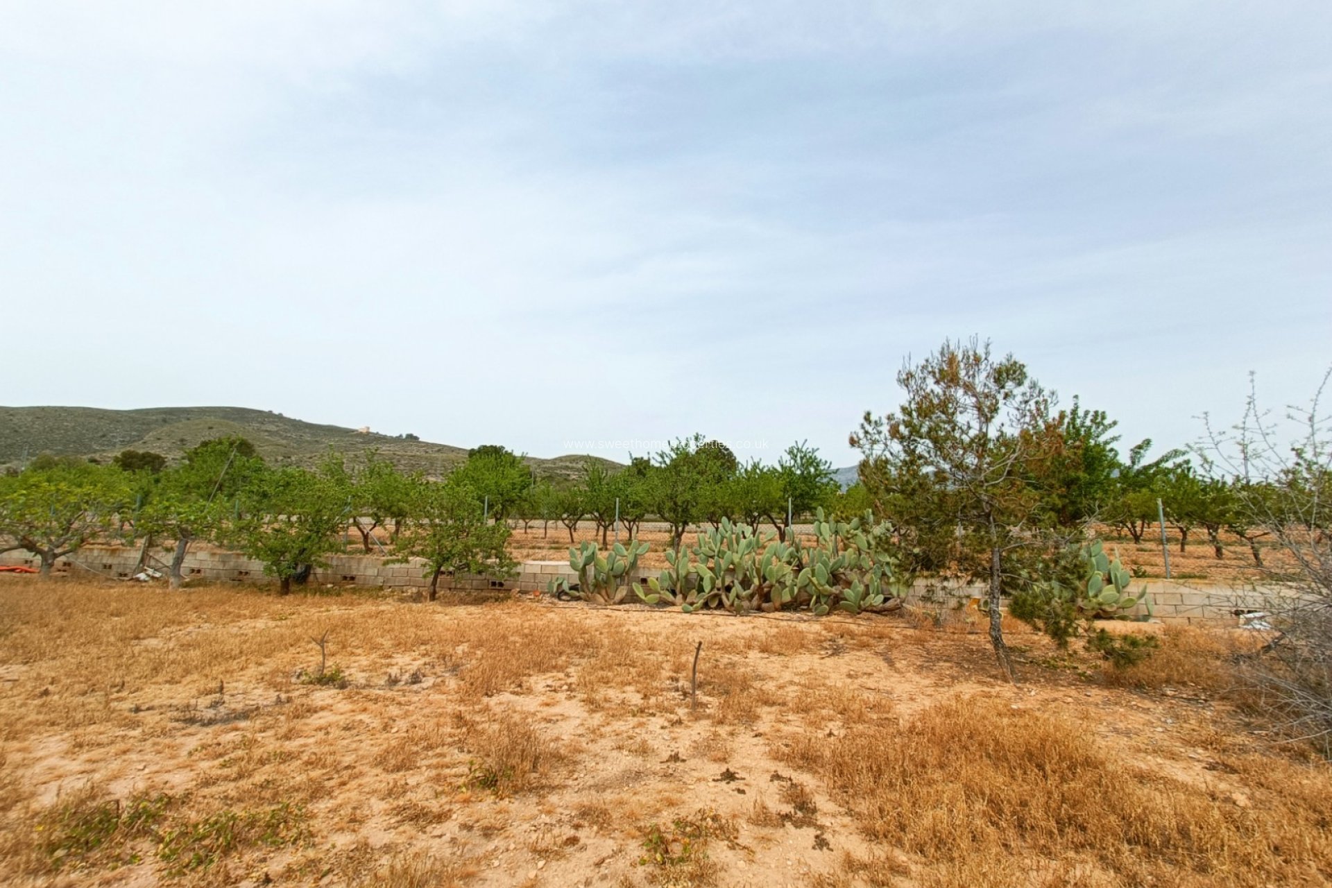 Herverkoop - Country house - Hondon De Los Frailes
