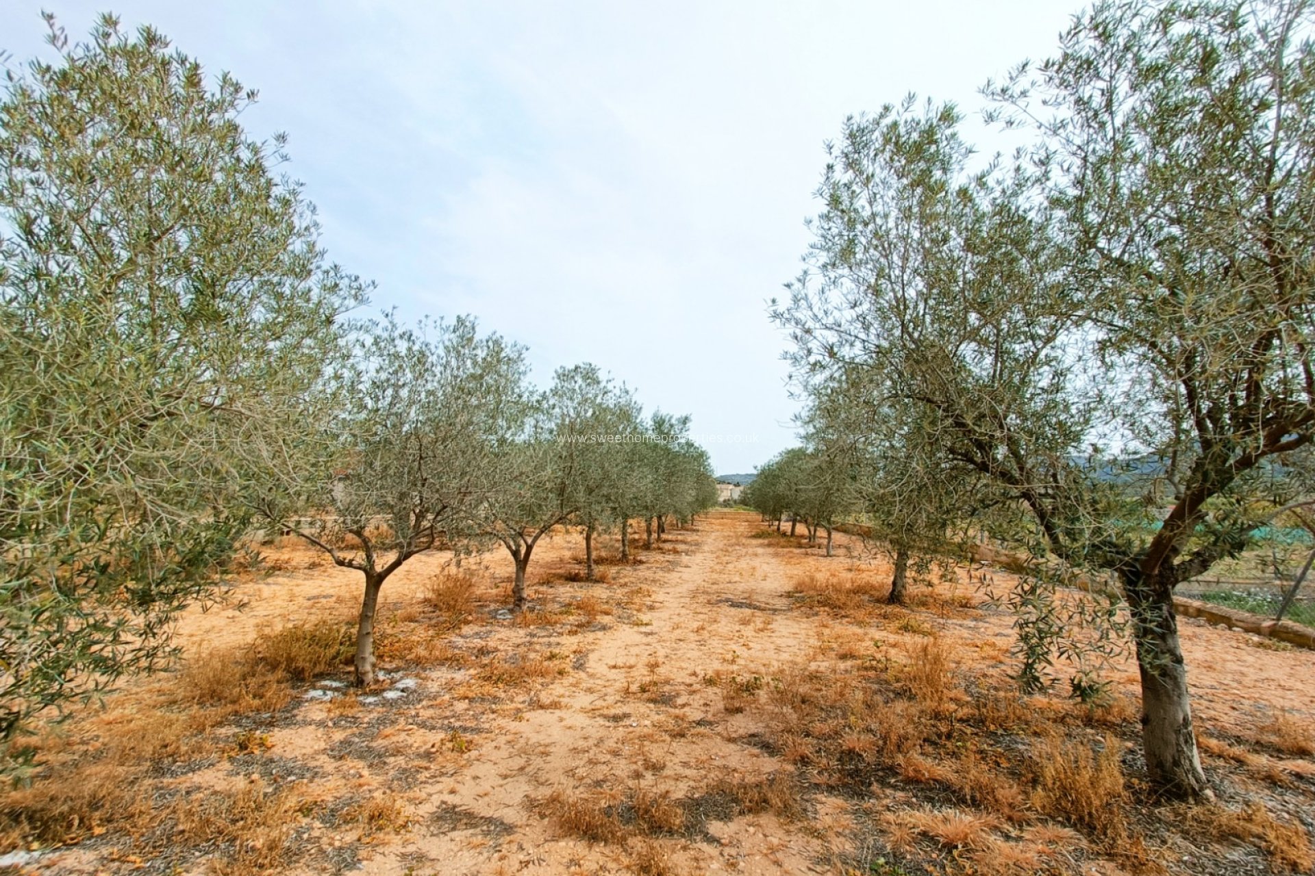 Herverkoop - Country house - Hondon De Los Frailes