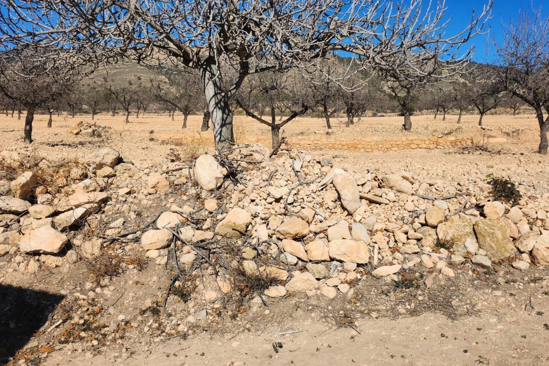 Herverkoop - Country house - Jumilla - Carretera pinoso-jumilla