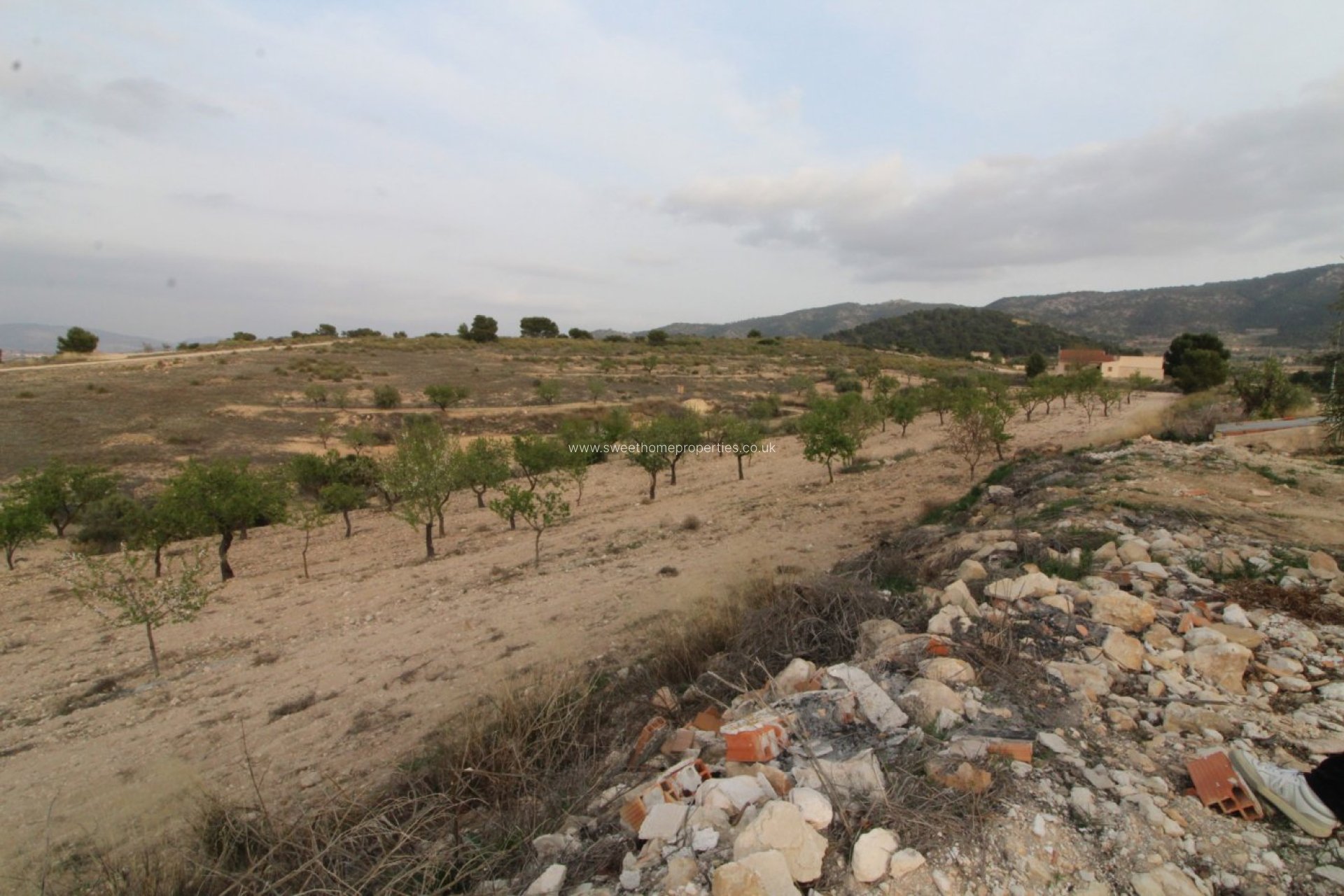 Herverkoop - Country house - Jumilla - ZARZA