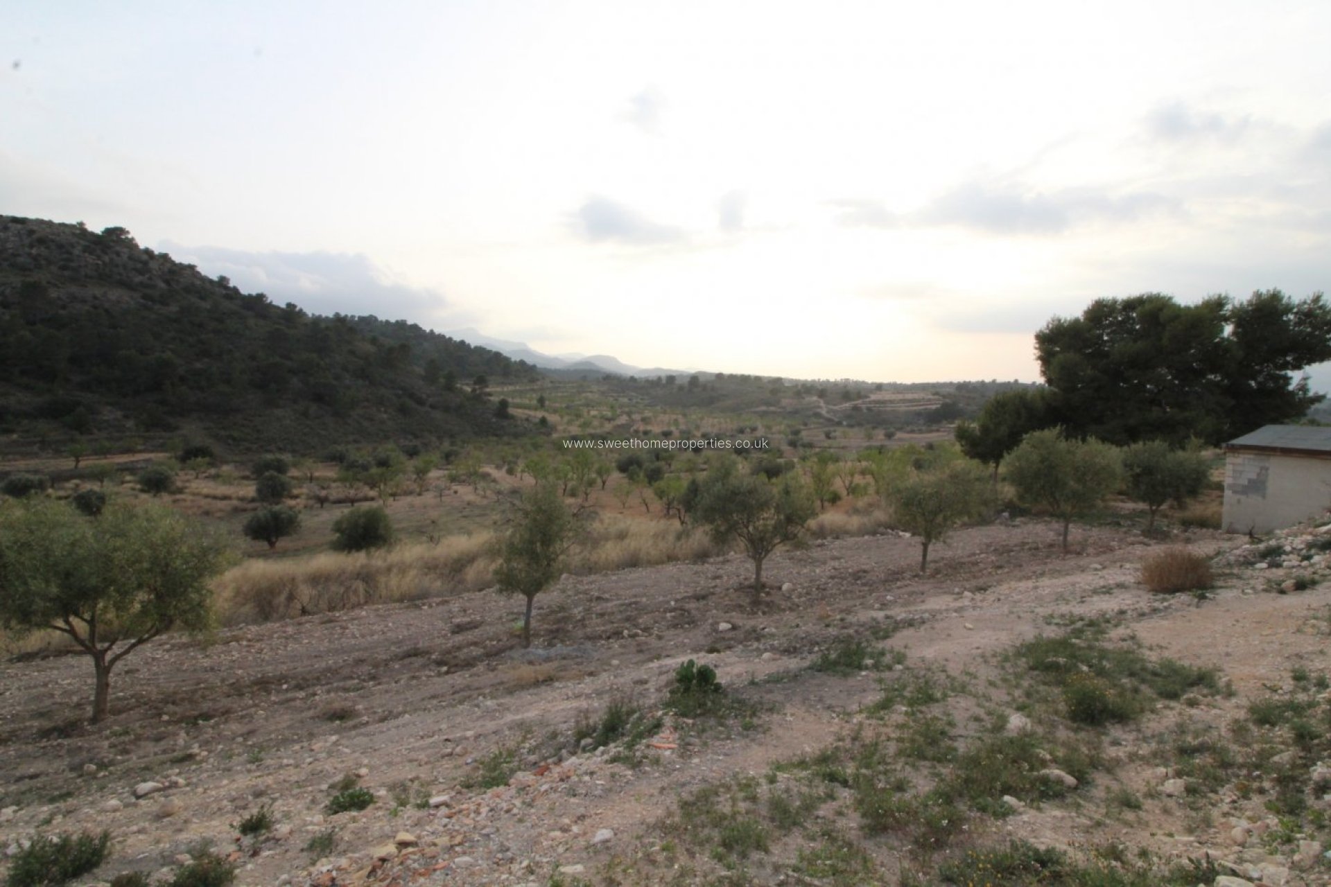 Herverkoop - Country house - Jumilla - ZARZA