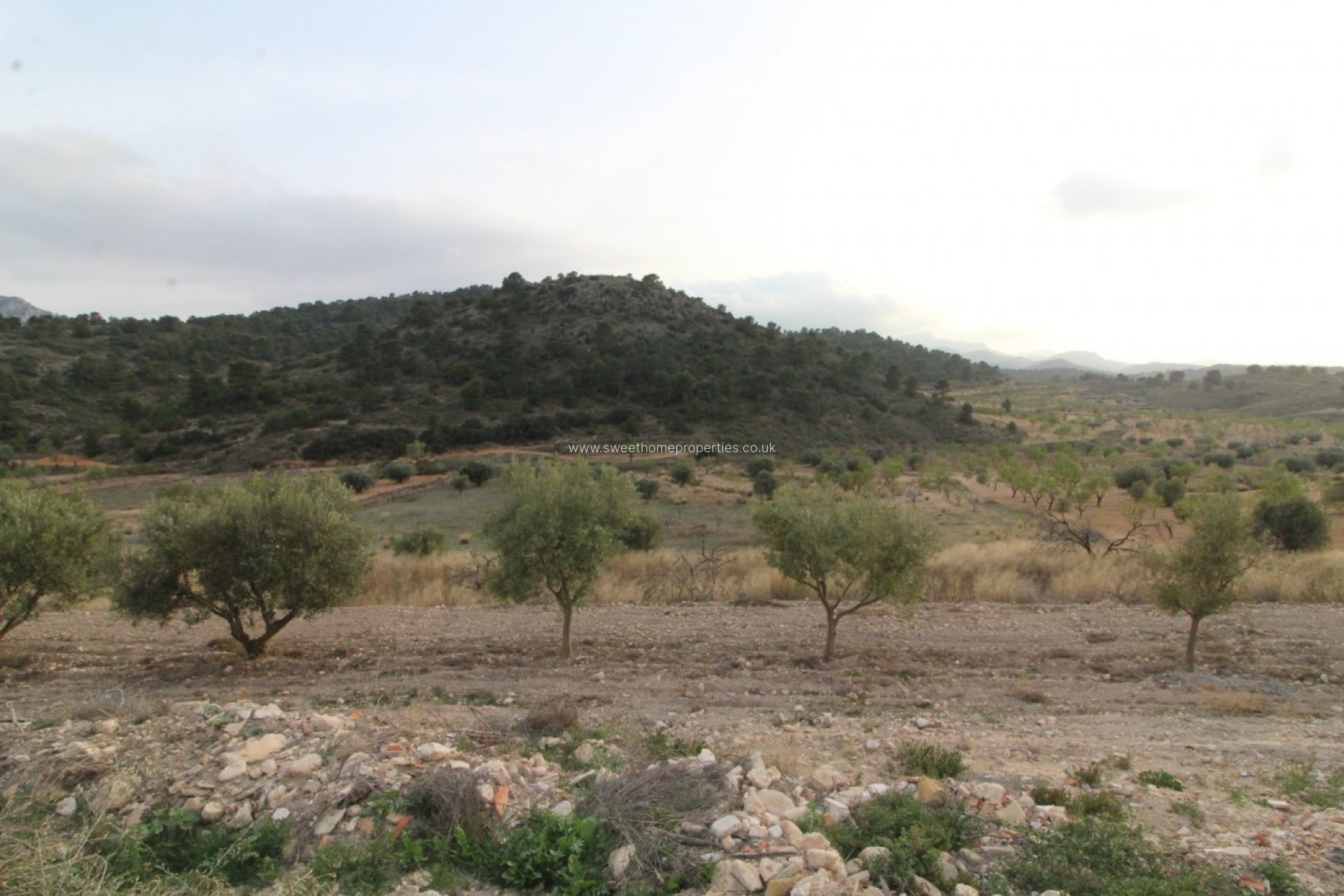 Herverkoop - Country house - Jumilla - ZARZA