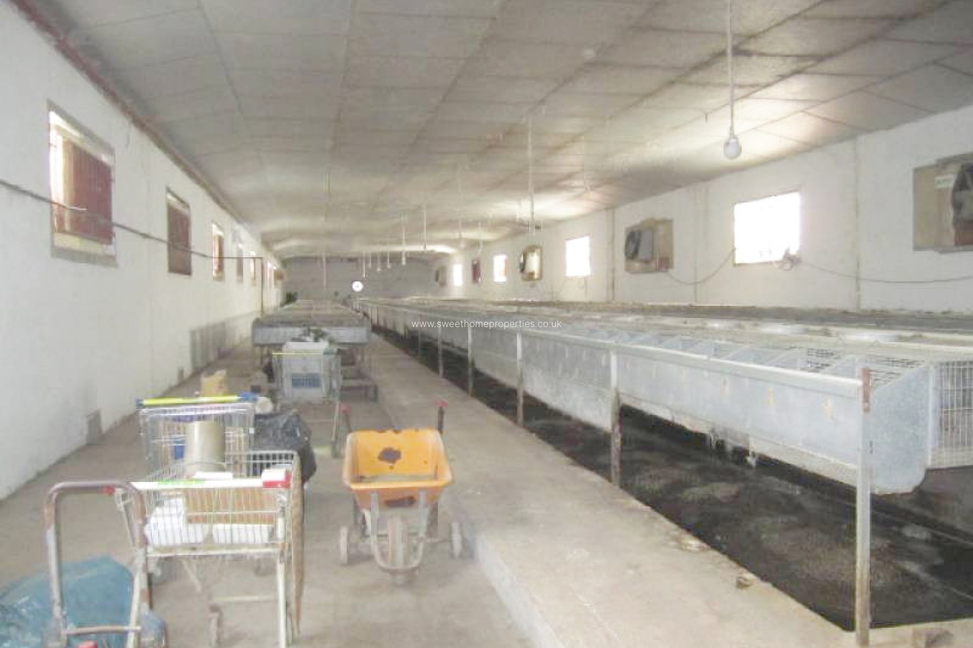 Herverkoop - Country house - La Romana - LA ALCANA