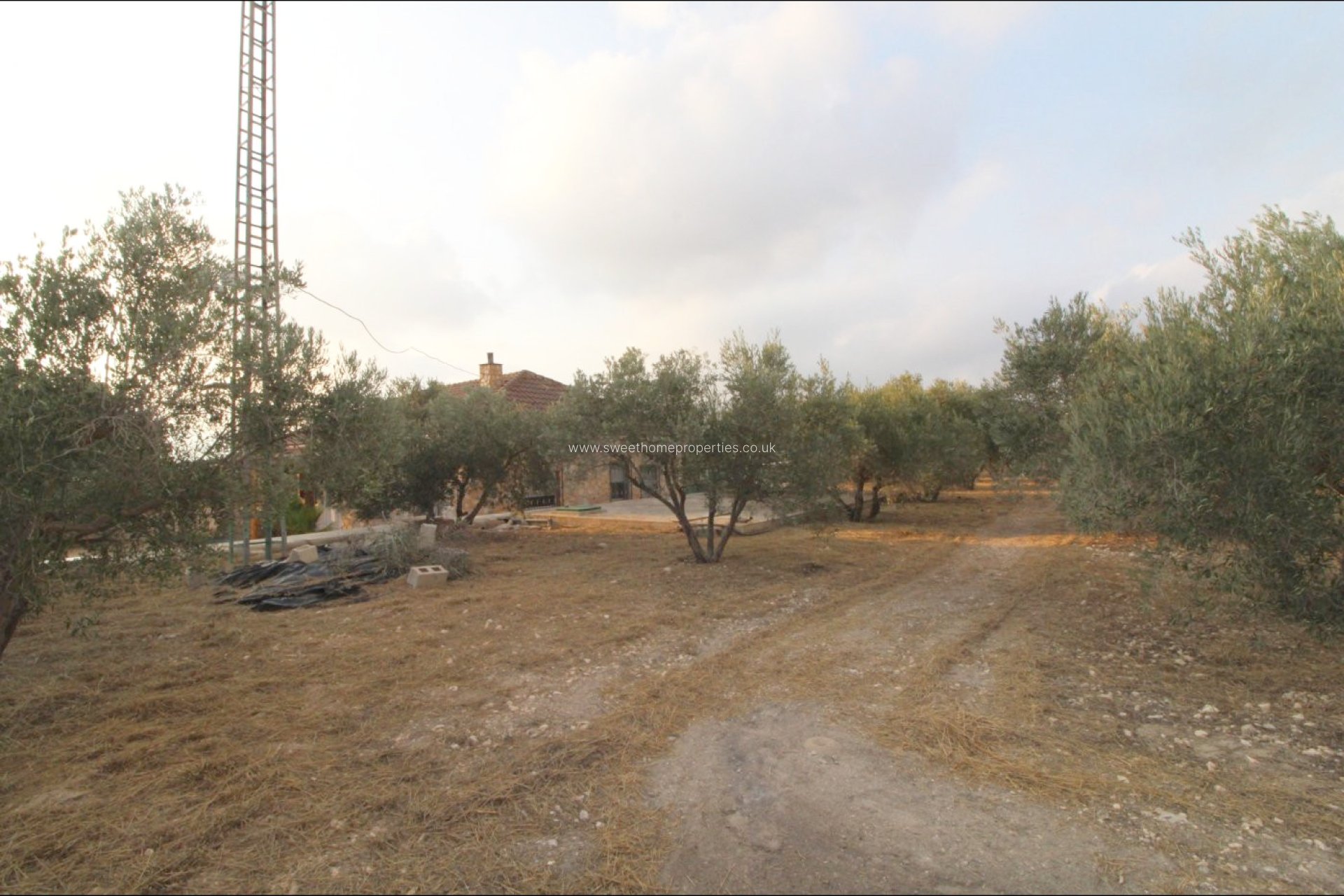 Herverkoop - Country house - La Romana - LA ALCANA