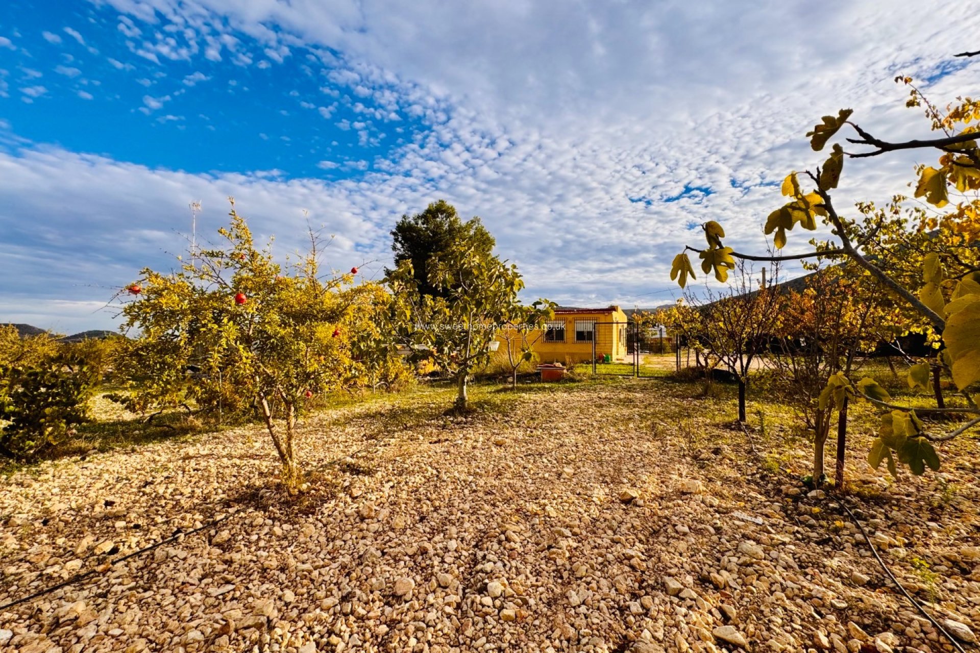 Herverkoop - Country house - La Romana - LA ROMANA