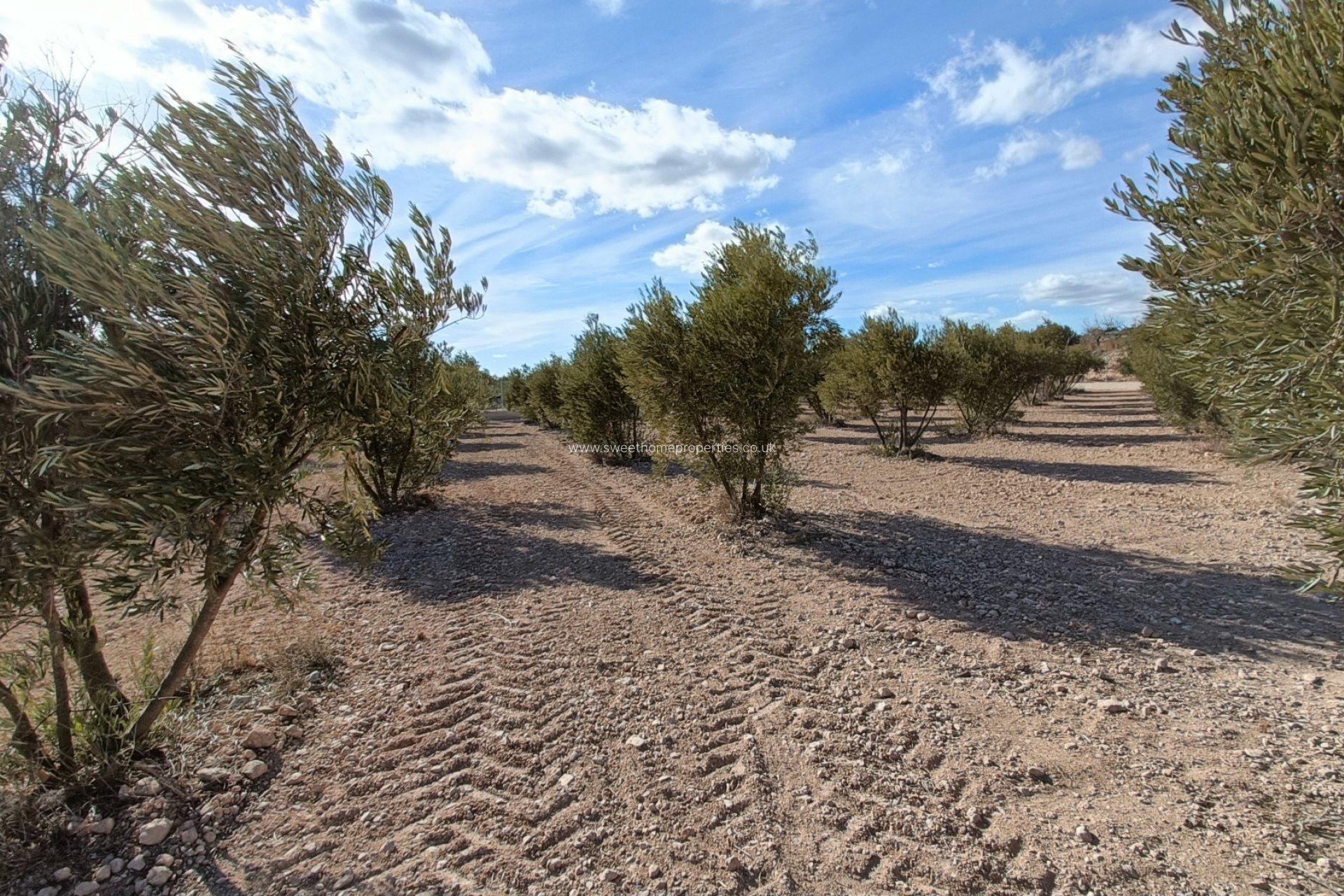 Herverkoop - Country house - Macisvenda