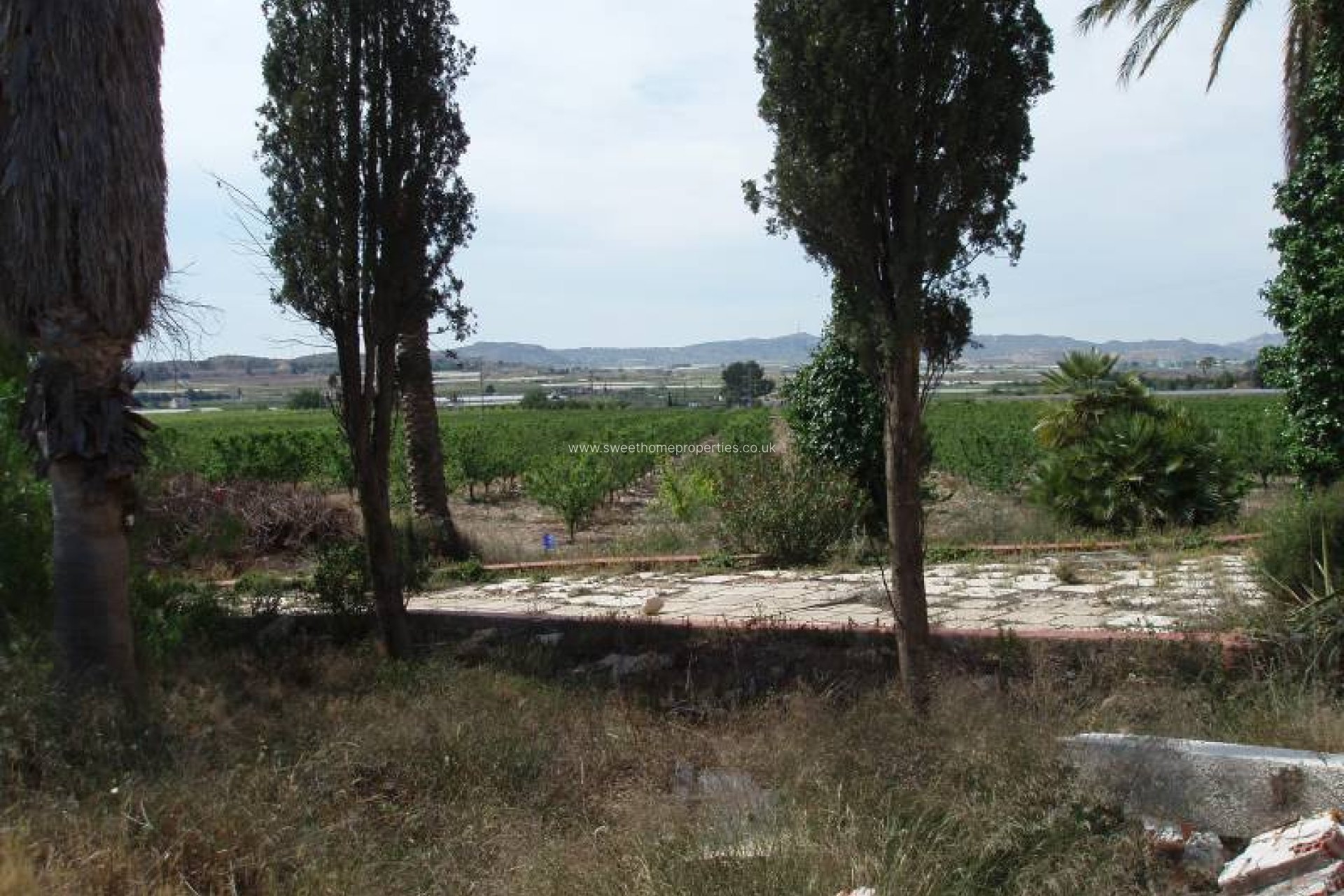 Herverkoop - Country house - Monforte del Cid - GABARRERA