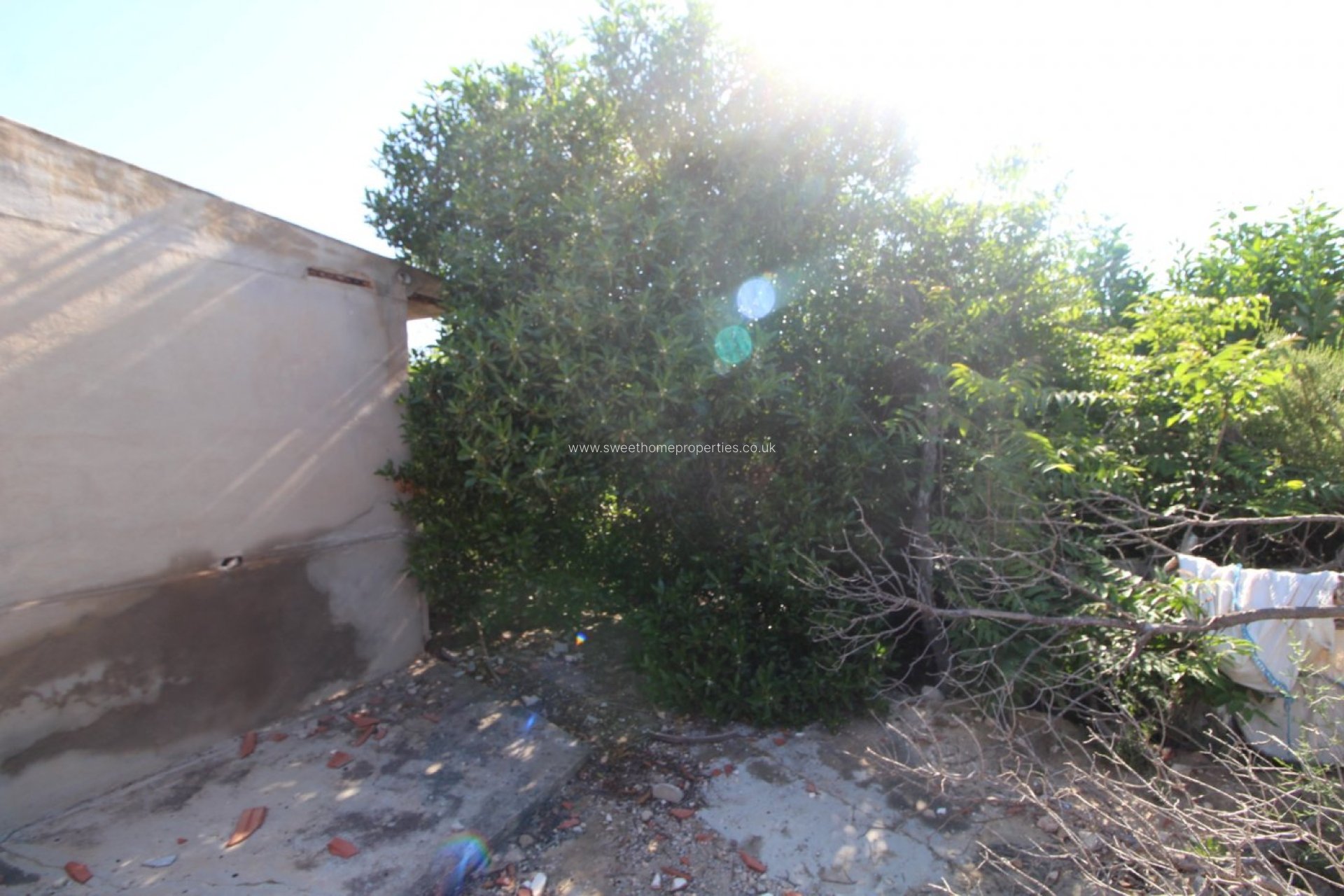 Herverkoop - Country house - Monforte del Cid - LOMA REDONDA