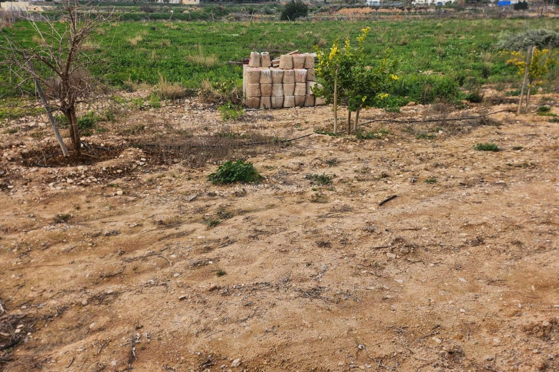 Herverkoop - Country house - Novelda - CASAS DE SALA