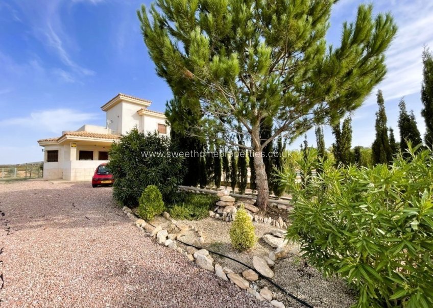 Herverkoop - Country house - Pinoso