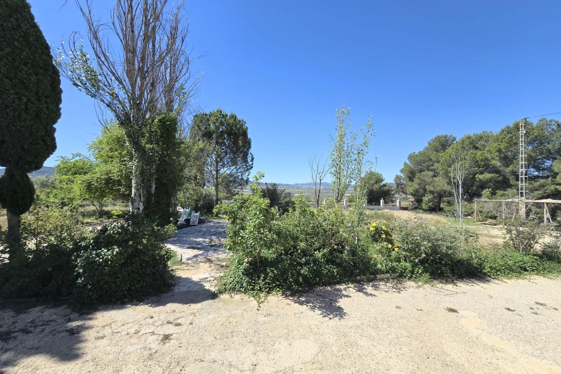 Herverkoop - Country house - Salinas - Comunidad valenciana