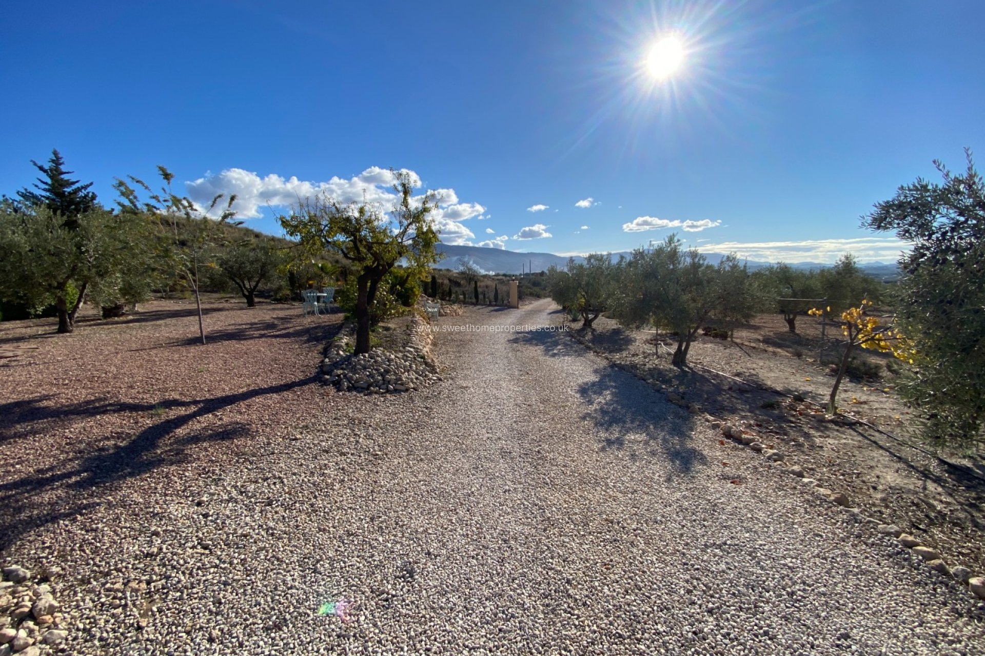 Herverkoop - Country house - Sax