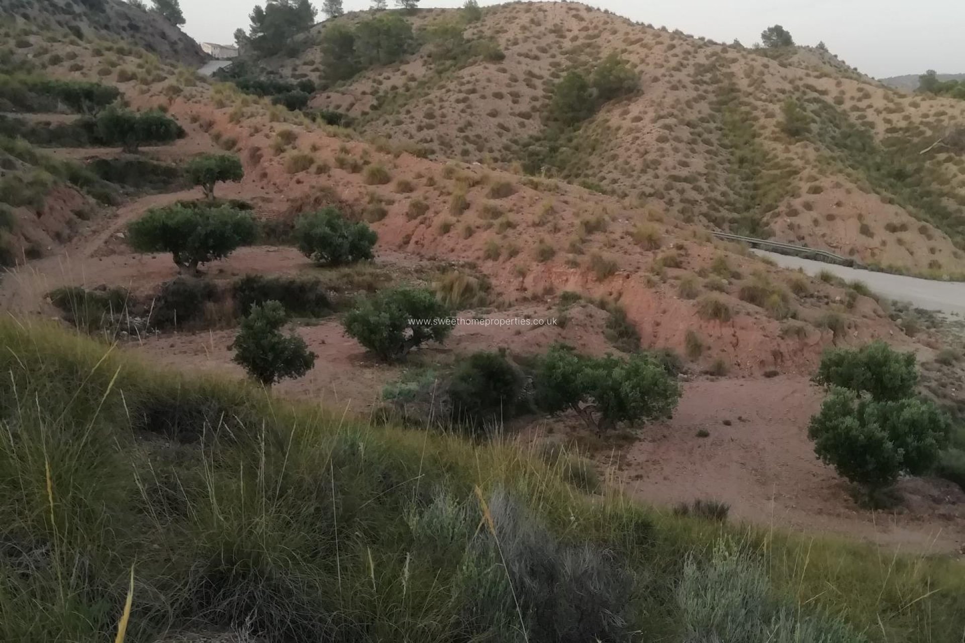 Herverkoop - Plot - Abanilla - MACISVENDA