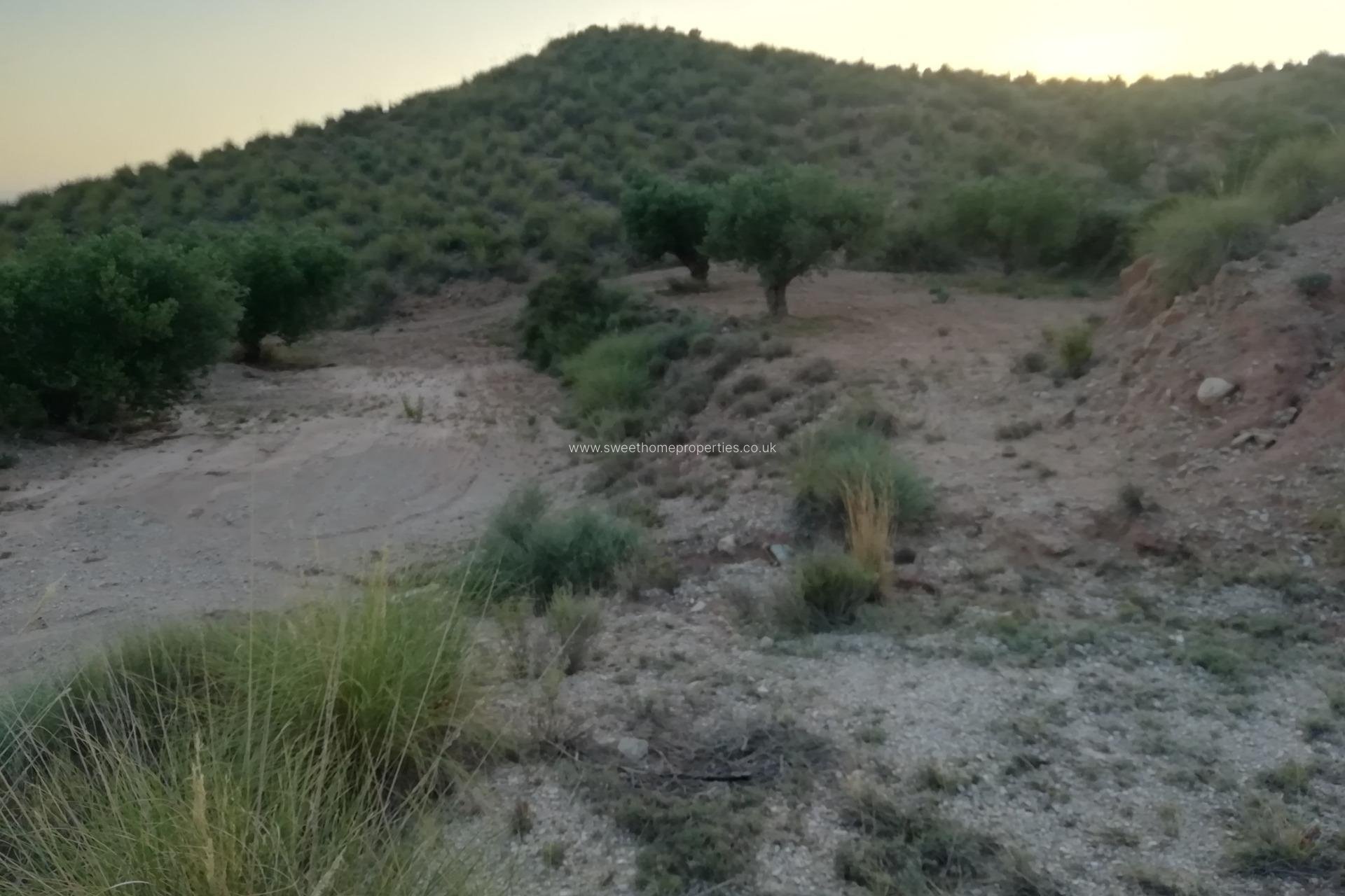 Herverkoop - Plot - Abanilla - MACISVENDA